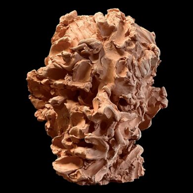 Portrait, terre cuite, 39 x 31 x 36 cm, 2024