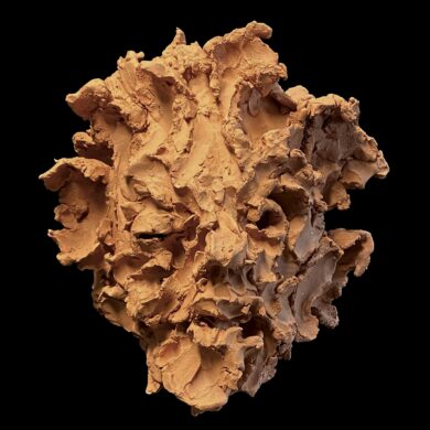 Portrait, terre cuite, 40 x 34 x 37 cm, 2024